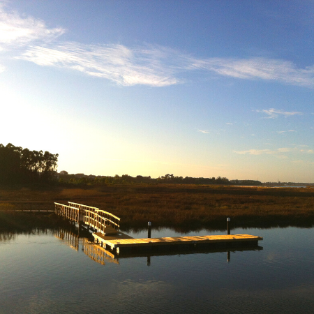 ALPD Access Bridge