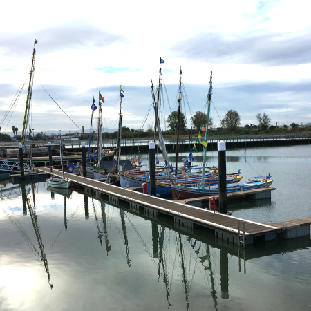 Sagres, Sagres+ Pontoons